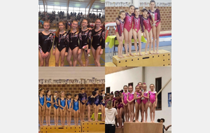 Trés bons résultats pour Haubourdin Gym le 01 et 02 Fevrier 2020