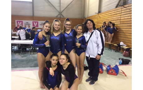 ELOYES (88) janv 2019 FSCF